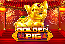 Golden Pig